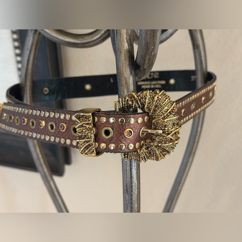 Cache Brown and Gold Studded Women's Belt